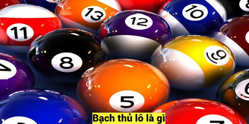 Bạch thủ lô là gì?