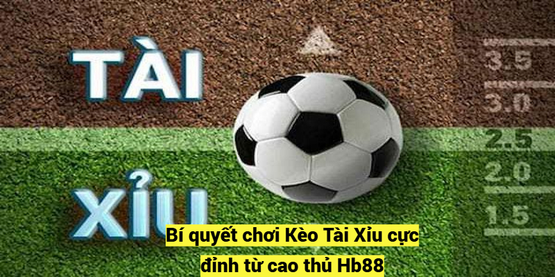 Bí quyết chơi Kèo Tài Xỉu bóng đá từ cao thủ Hb88