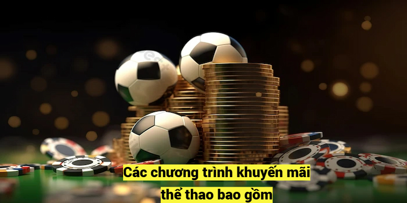 Các chương trình khuyến mãi thể thao bao gồm