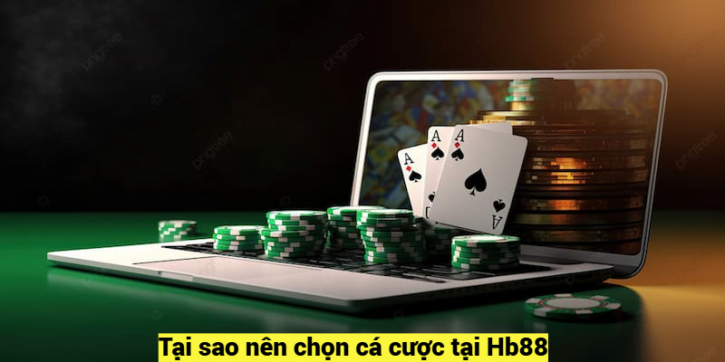 Tại sao nên chọn cá cược tại Hb88?