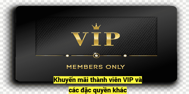 Khuyến mãi thành viên VIP và các đặc quyền khác