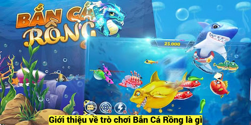 Giới thiệu về trò chơi Bắn Cá Rồng là gì?