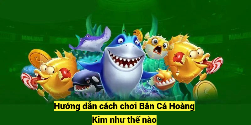 Hướng dẫn cách chơi Bắn Cá Hoàng Kim như thế nào?