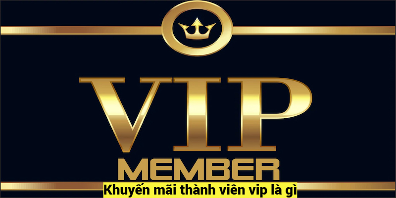 Khuyến mãi thành viên vip là gì?