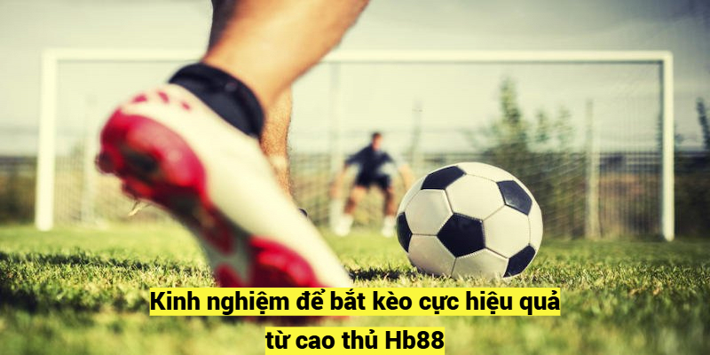 Kinh nghiệm để bắt kèo cực hiệu quả từ cao thủ Hb88