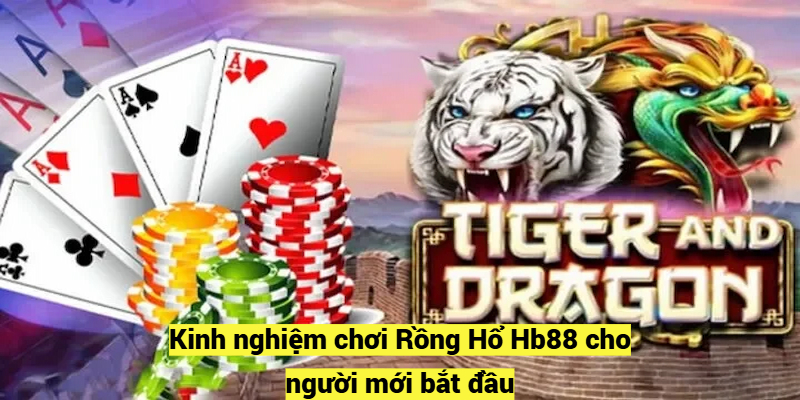 Kinh nghiệm chơi Rồng Hổ Hb88 cho người mới bắt đầu