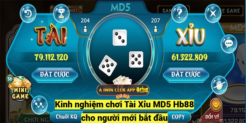 Kinh nghiệm chơi Tài Xỉu MD5 Hb88 cho người mới bắt đầu