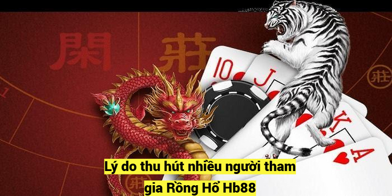 Lý do thu hút nhiều người tham gia Rồng Hổ Hb88