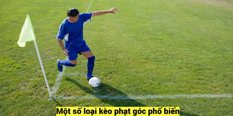 Một số loại kèo phạt góc phổ biến