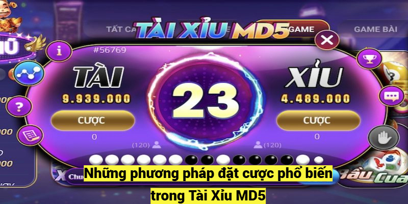 Những phương pháp đặt cược phổ biến trong Tài Xỉu MD5