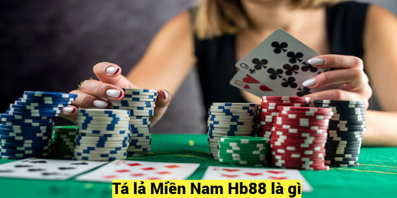 Tá lả Miền Nam Hb88 là gì?