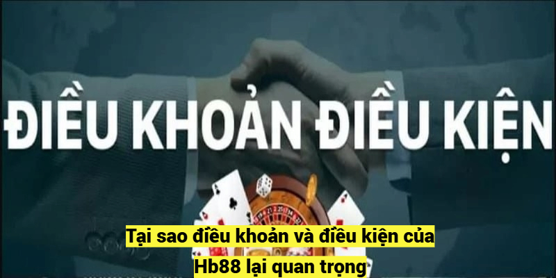 Tại sao điều khoản và điều kiện của Hb88 lại quan trọng?