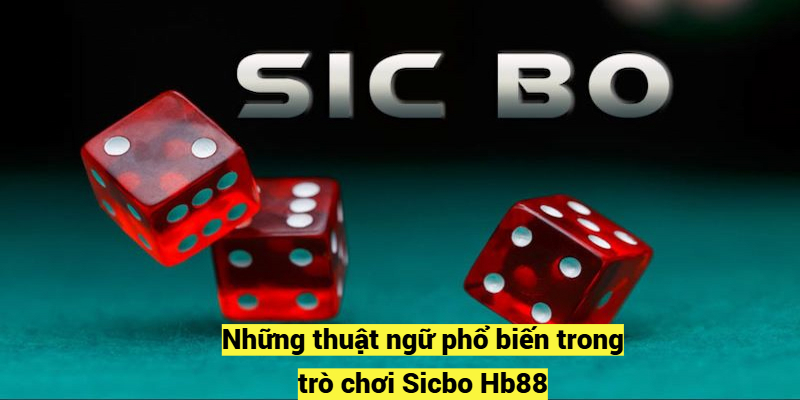 Những thuật ngữ phổ biến trong trò chơi Sicbo Hb88